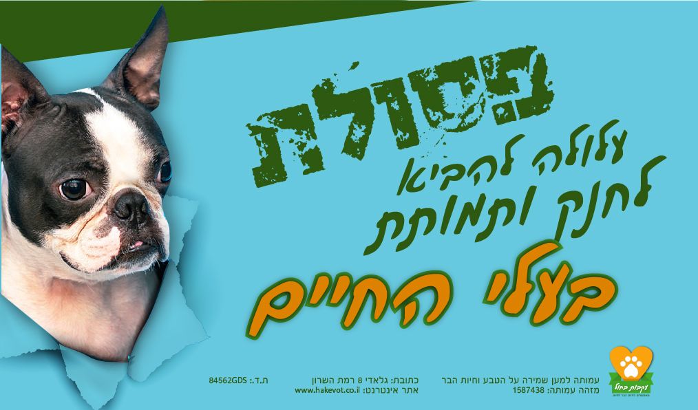 שלט חוצות-01.jpg