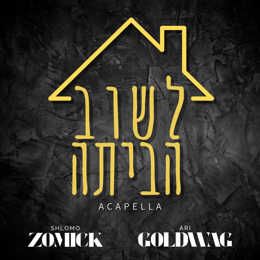 שלמה זמיק & ארי גולדוואג - לשוב הביתה - ווקאלי.jpg