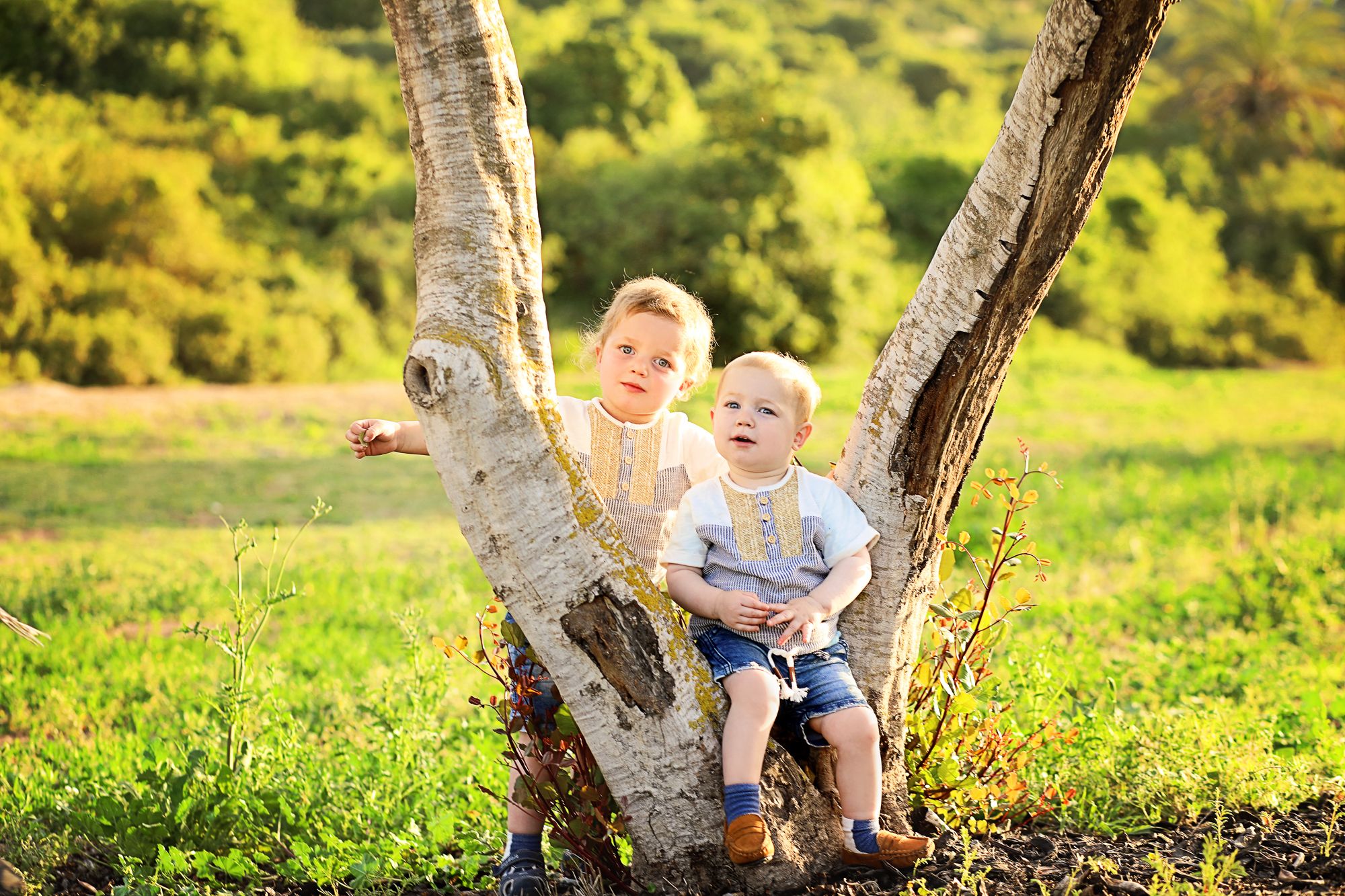 שמולי נחמן קטן.jpg