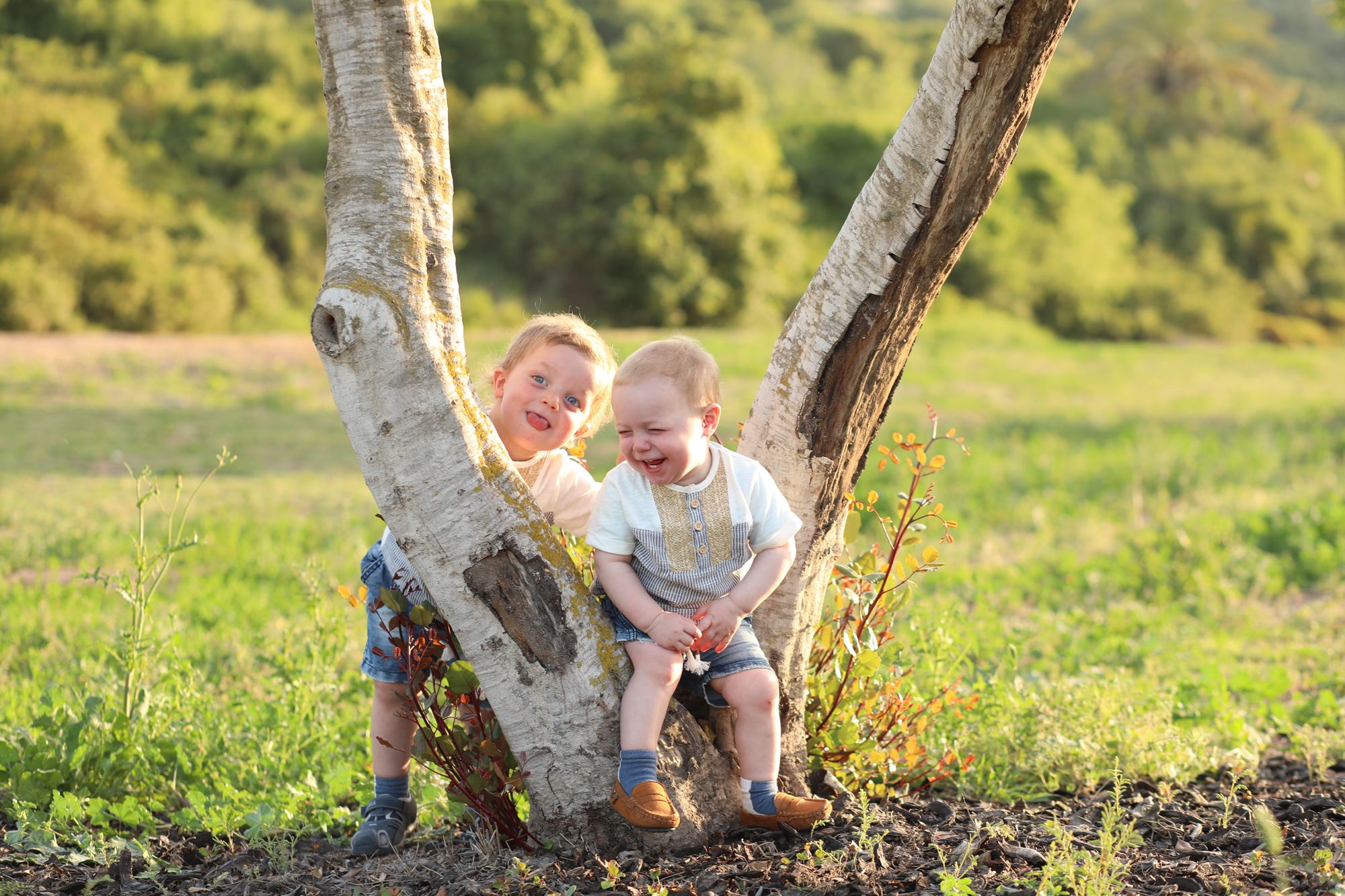 שמולי נחמן.jpg