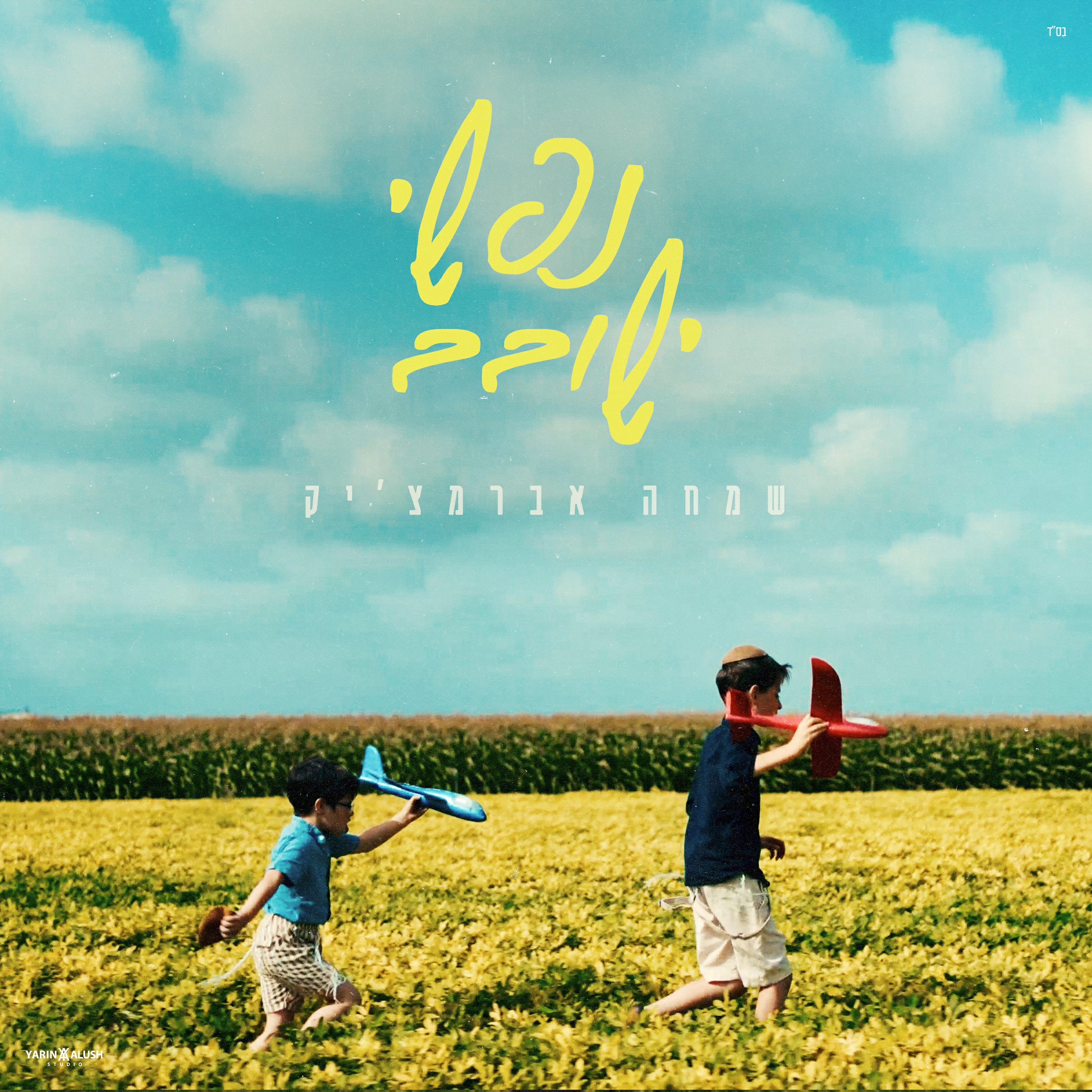 שמחה אברמצ'יק - נפשי ישובב.jpg