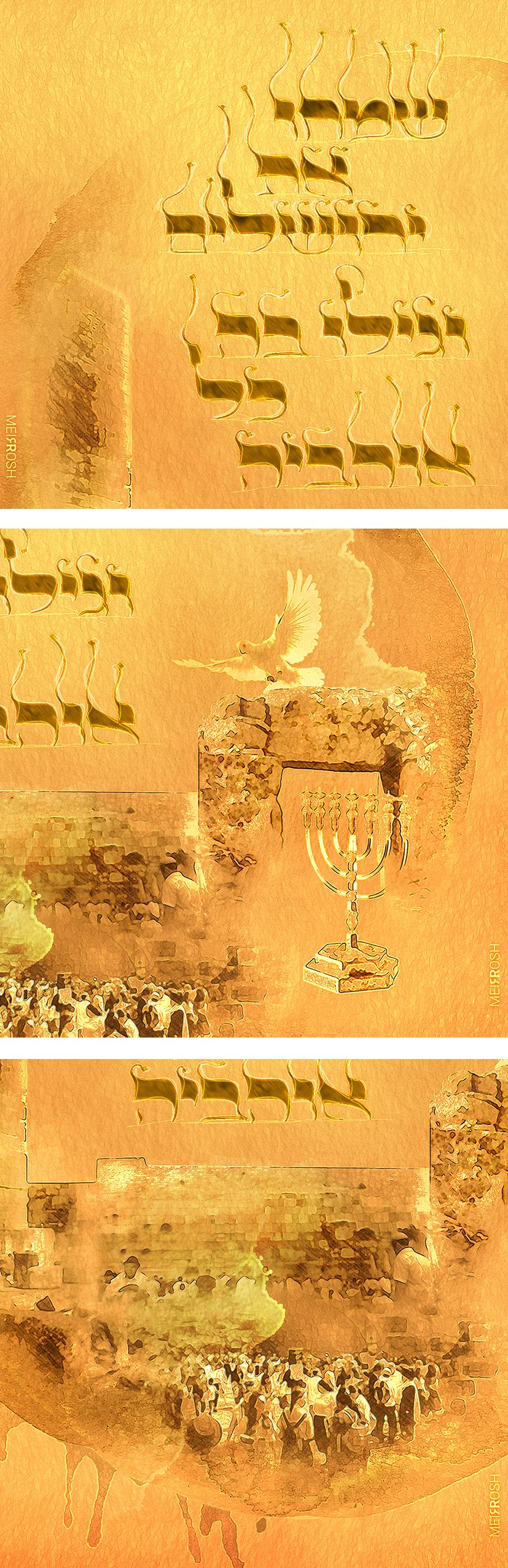 שמחו את ירושלים חדש MeirRsohDesign2.jpg