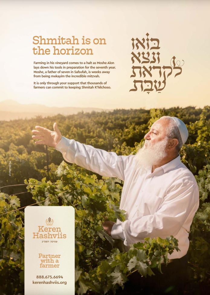 שמיטה.JPG