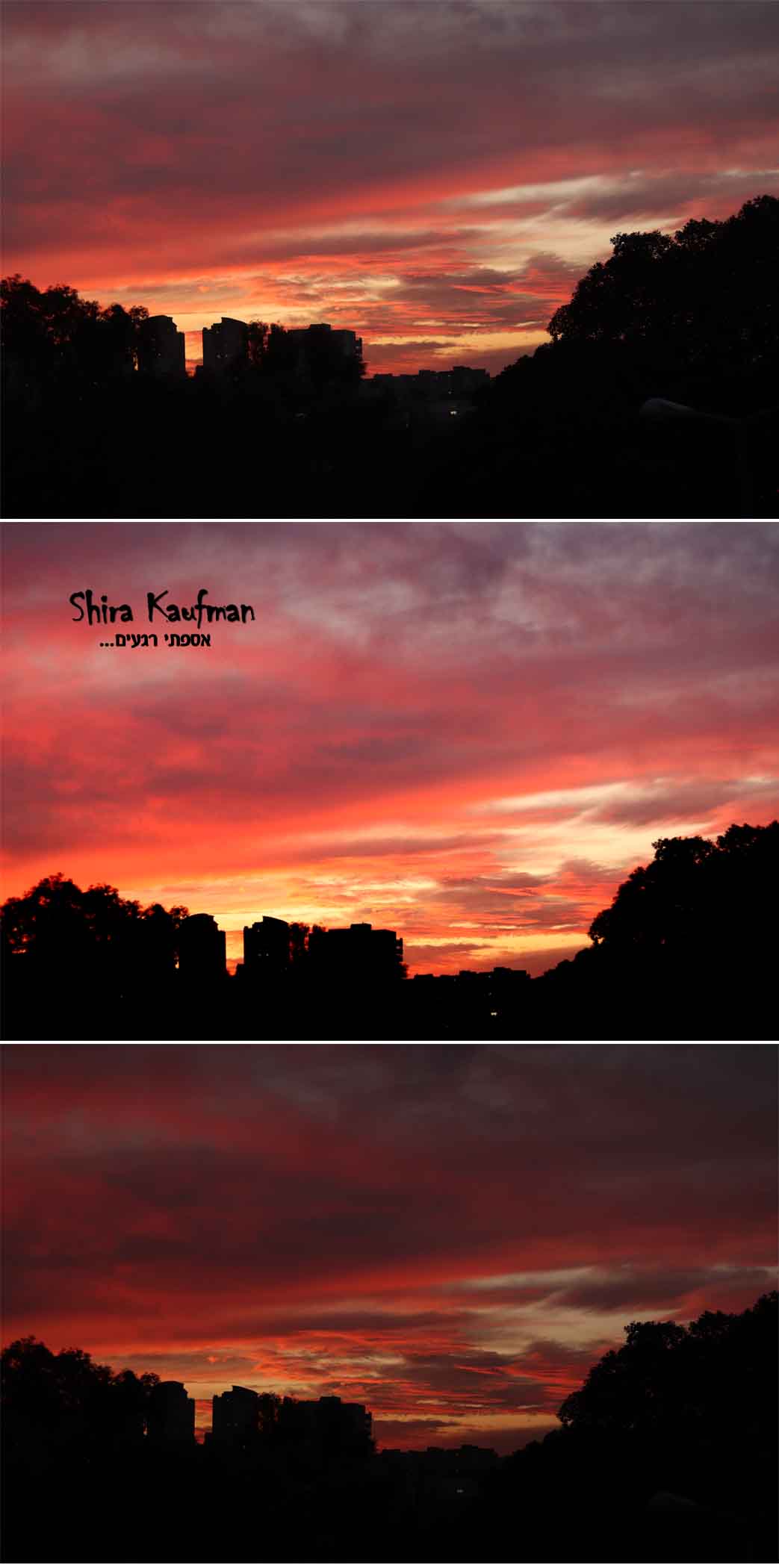 שמים נדיר.jpg