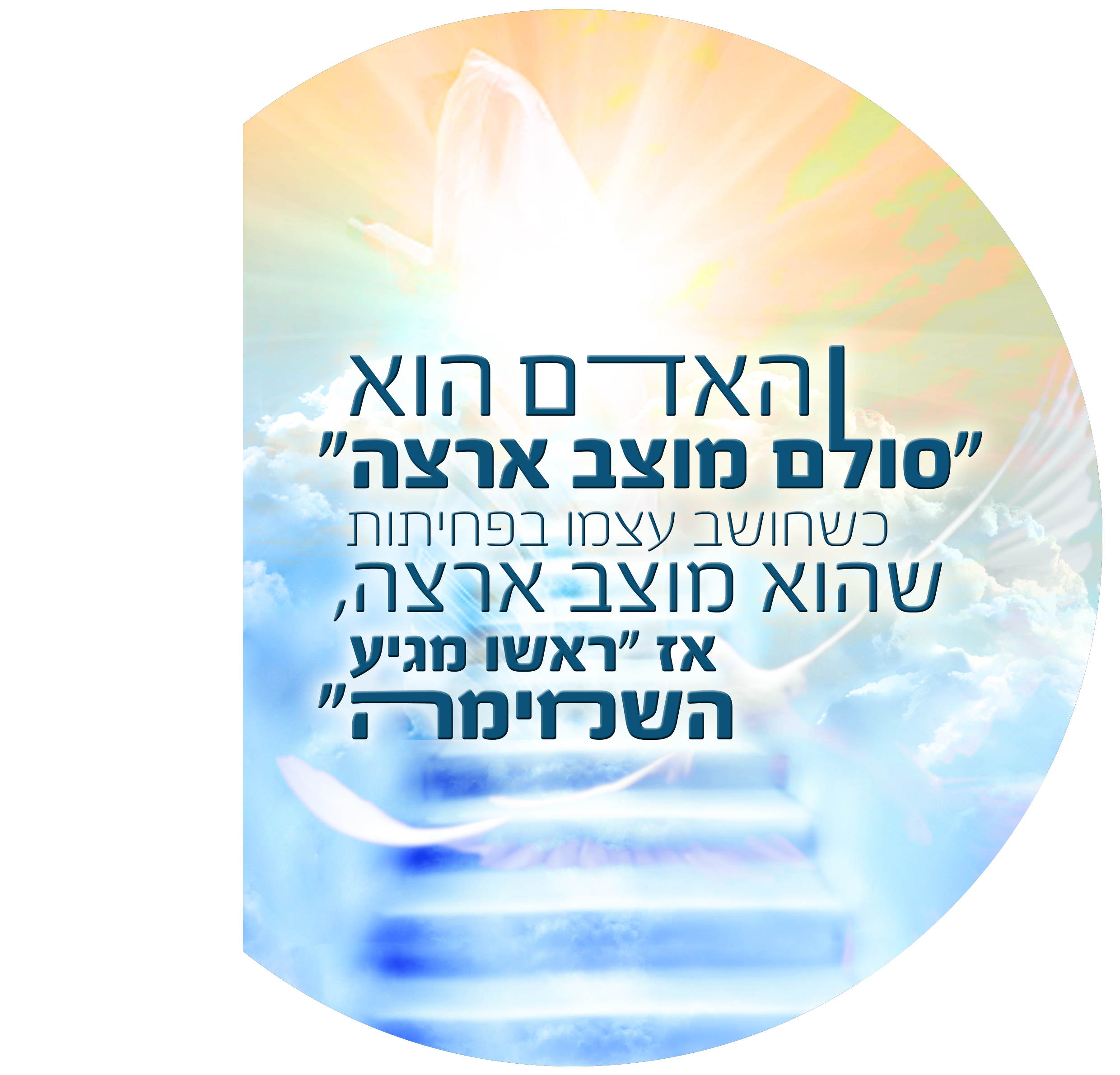 שמשונית קטנה.jpg