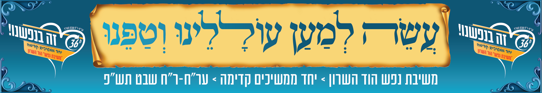 שמשונית שטיבל 1.PNG