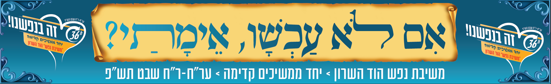 שמשונית שטיבל 2.PNG