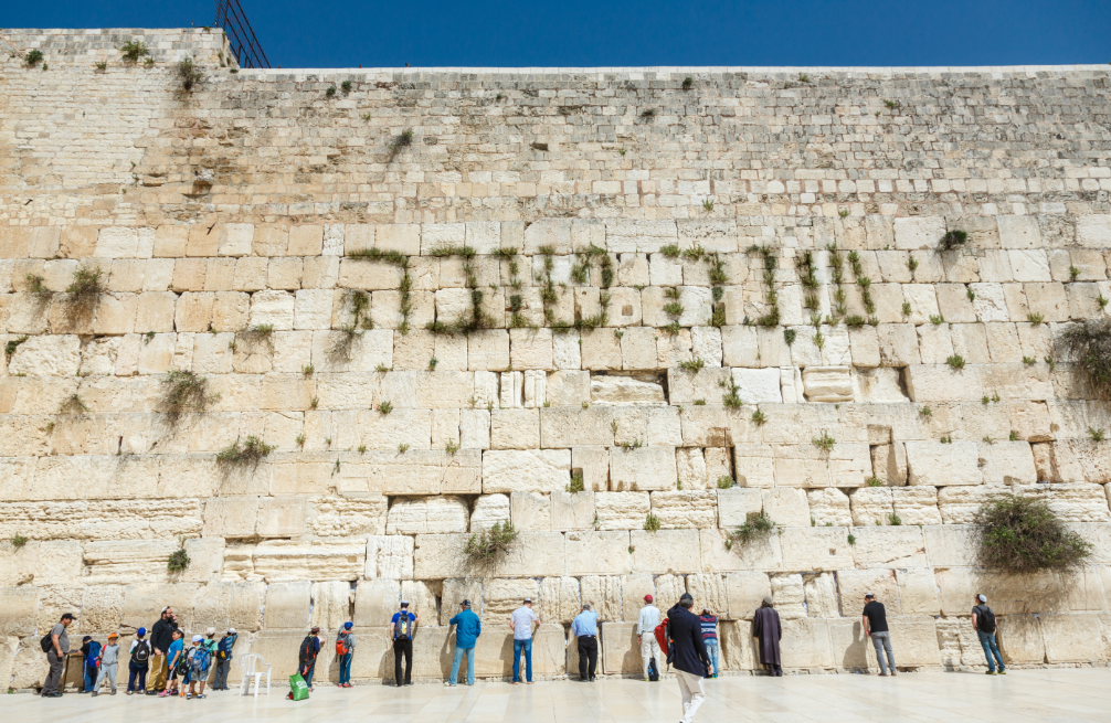 שנה טובה אייבישטער.PNG