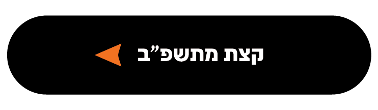 שנה טובה סטודיו-02.png