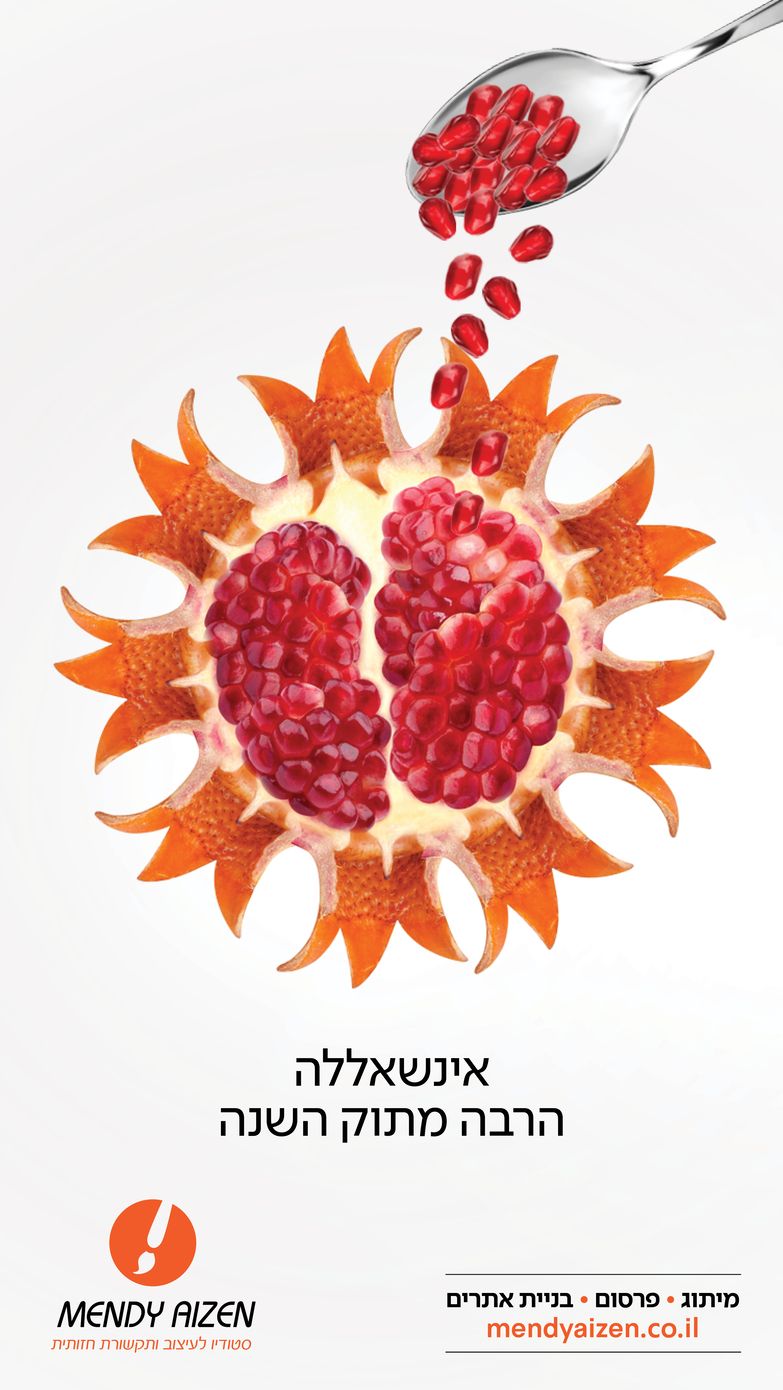 שנה טובה תשפב מנדי אייזן.jpg