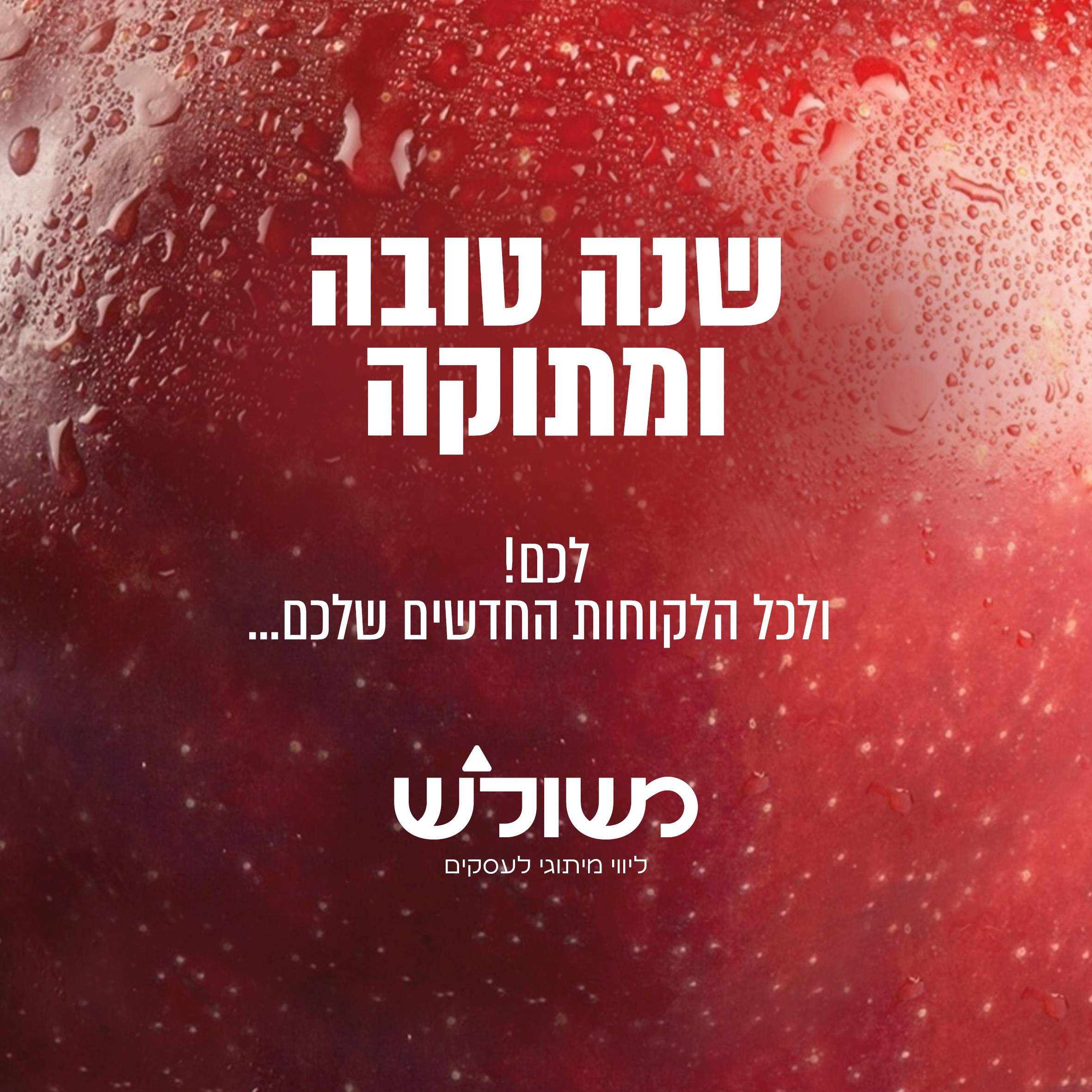 שנה טובה תשפד.jpg