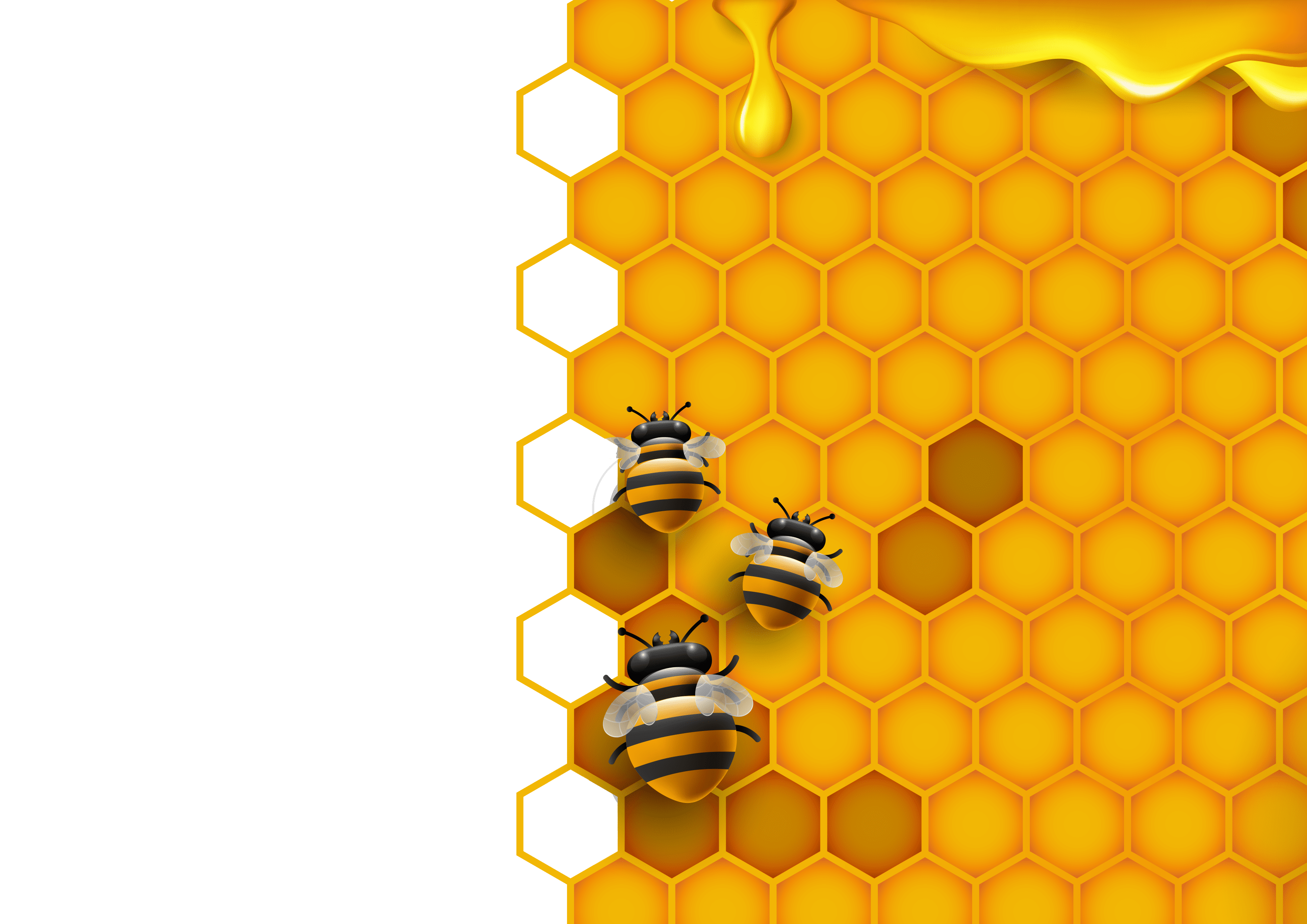 שנה טובה 2.png