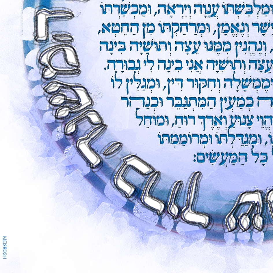 שנו חכמים MeirRoshDesign6.jpg