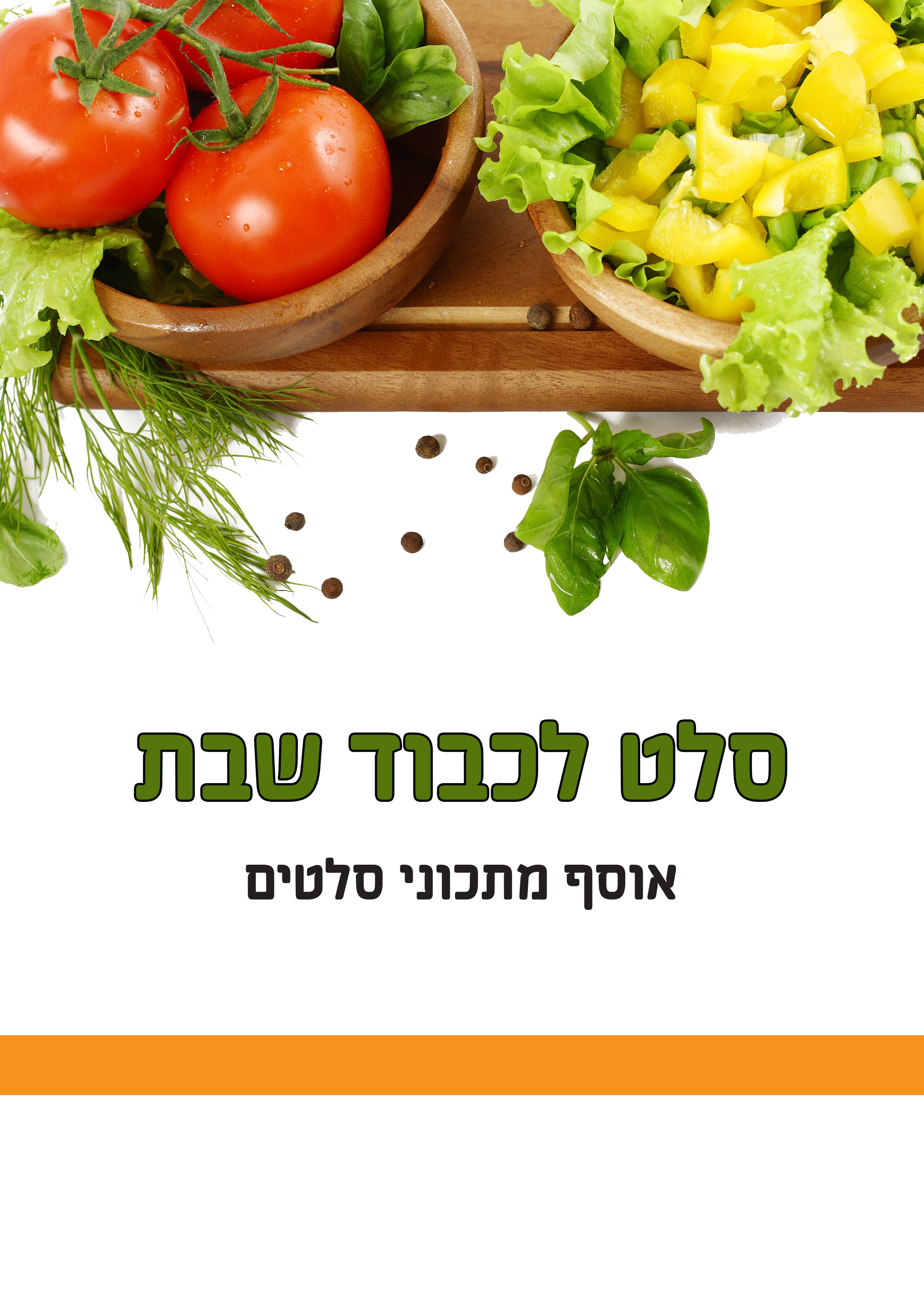 שער חוברת.jpg