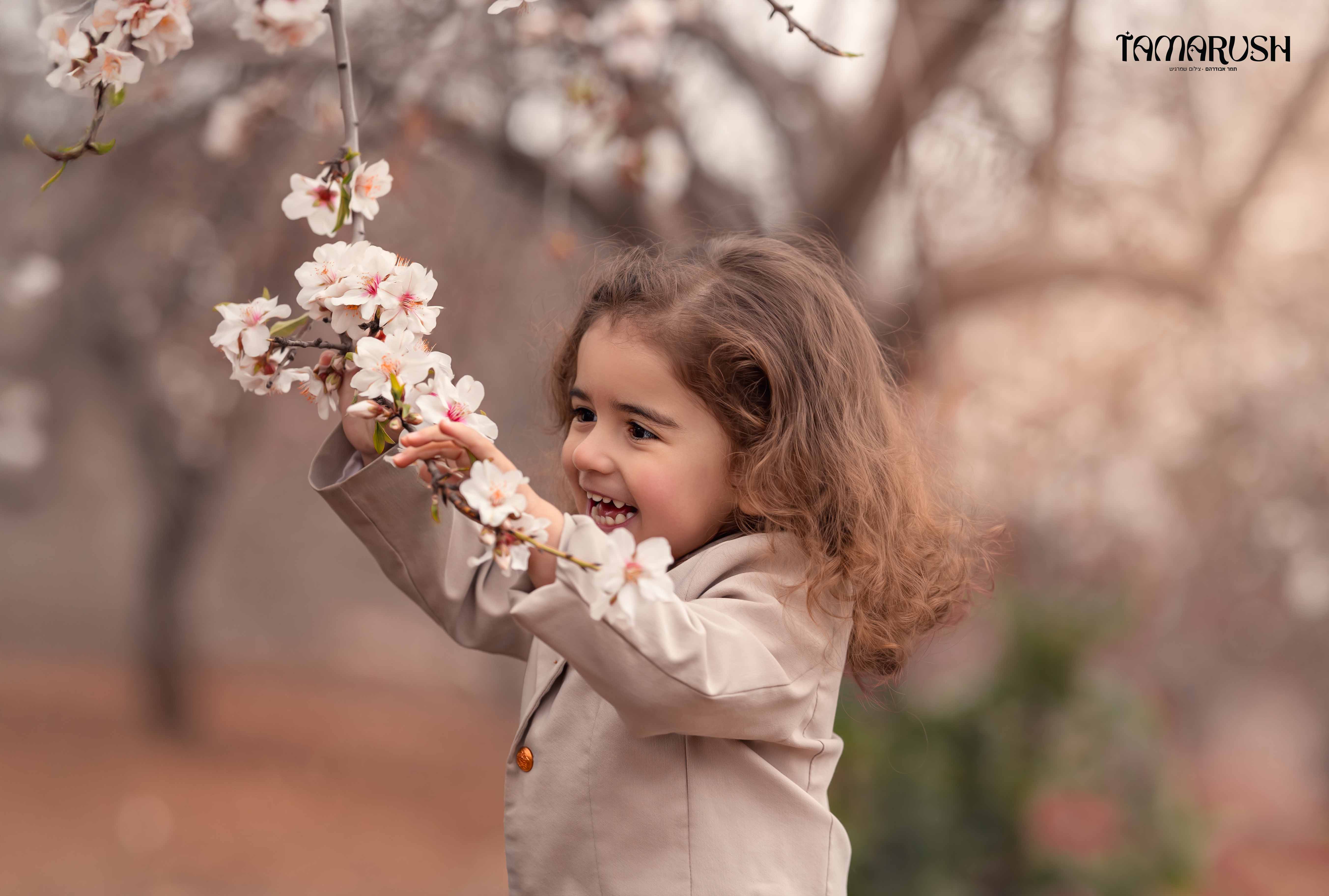 שקדיה נסיך.jpg