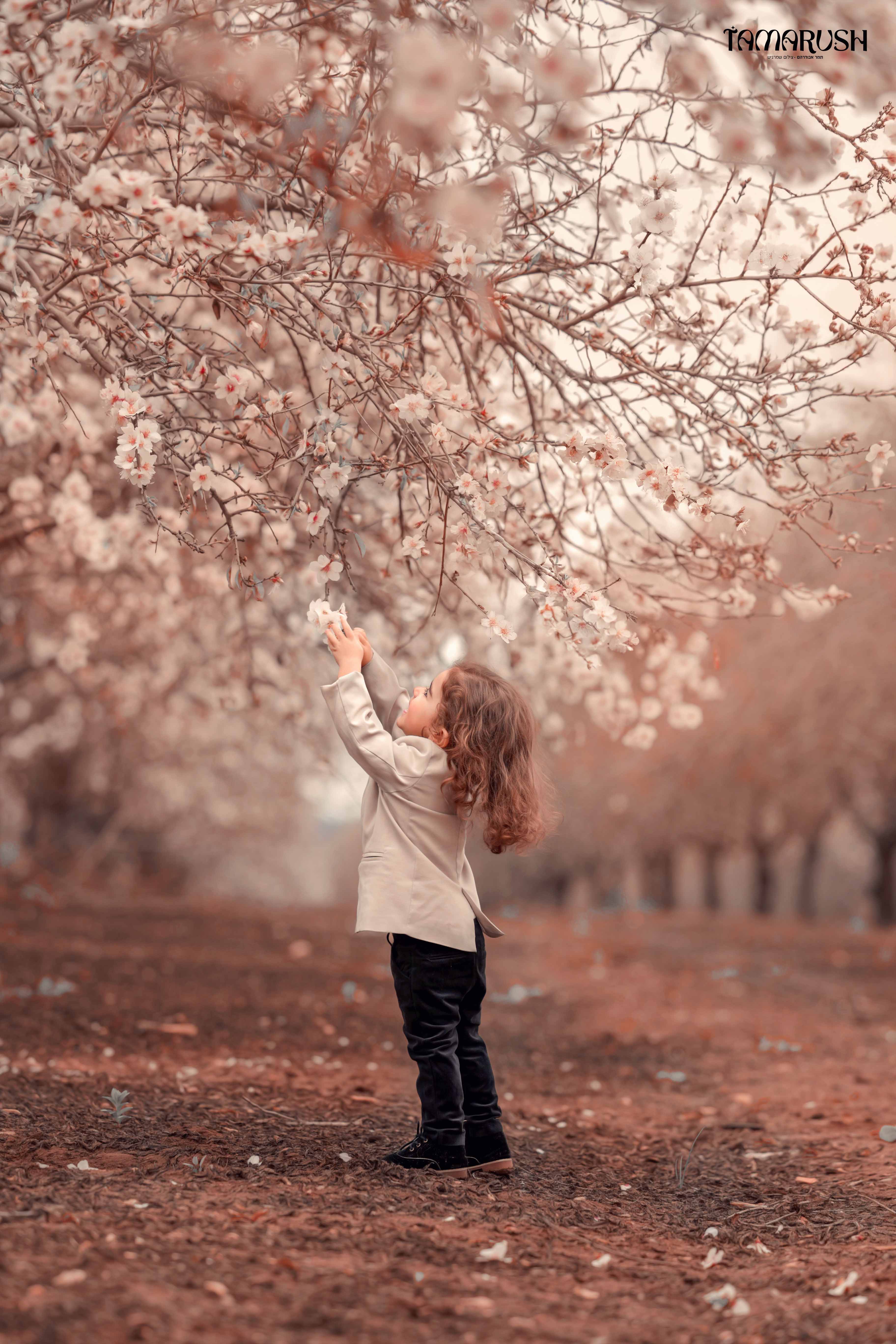 שקדיה 0583226044.jpg