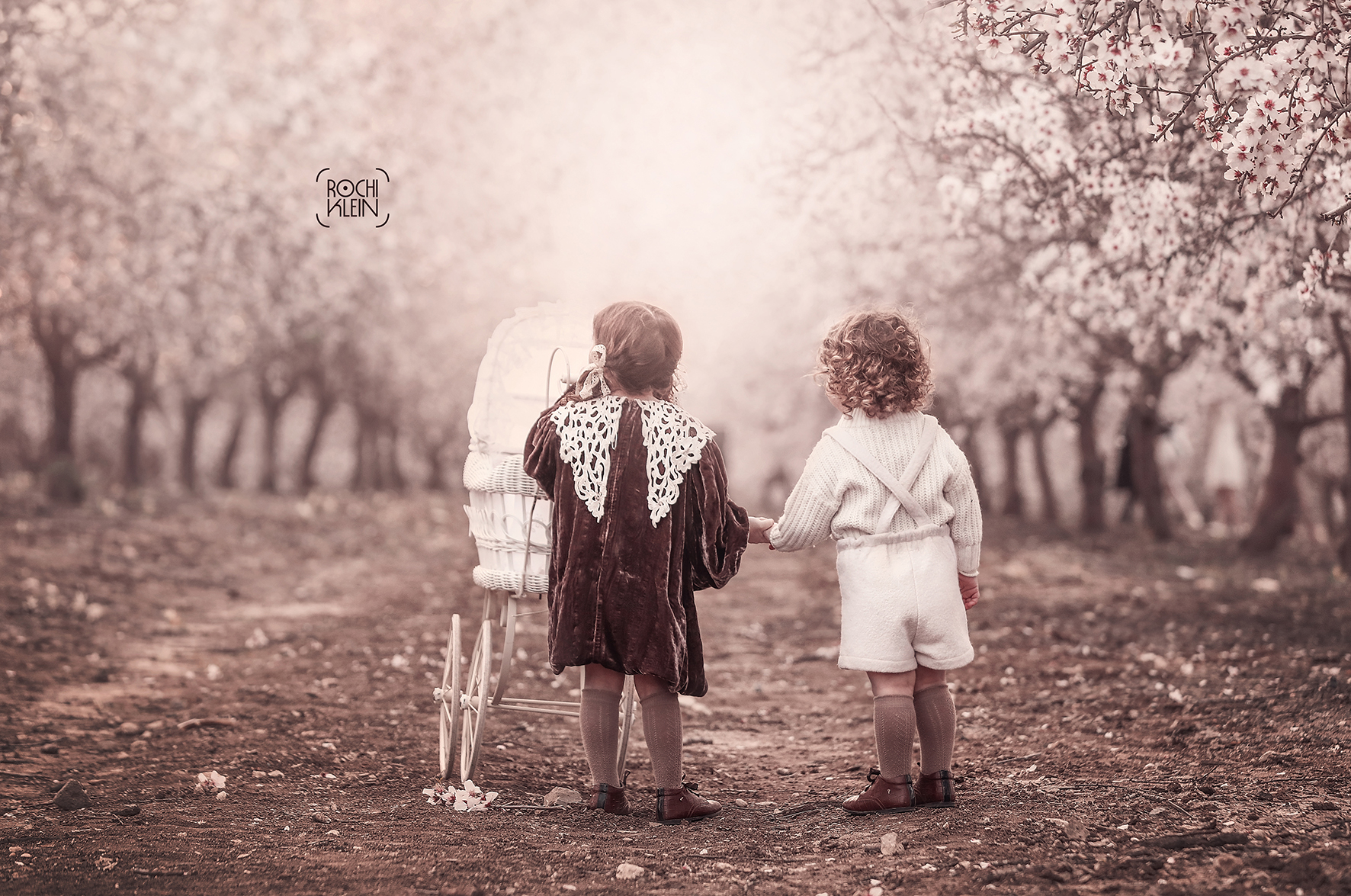 שקדיות חורפי (2).jpg