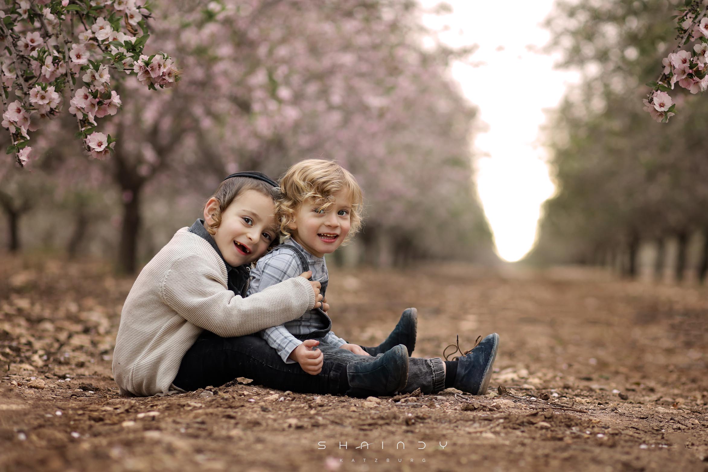 שקדיות מוקטן.jpg