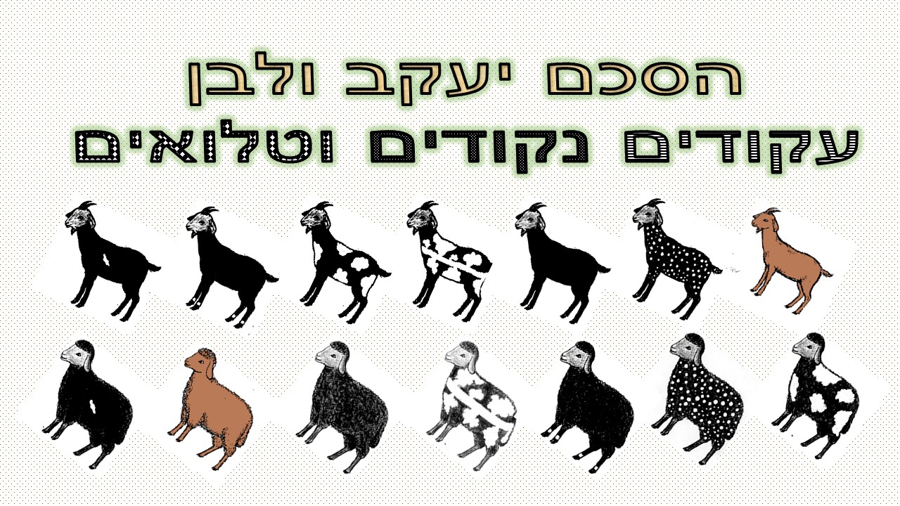 שקופית1.JPG