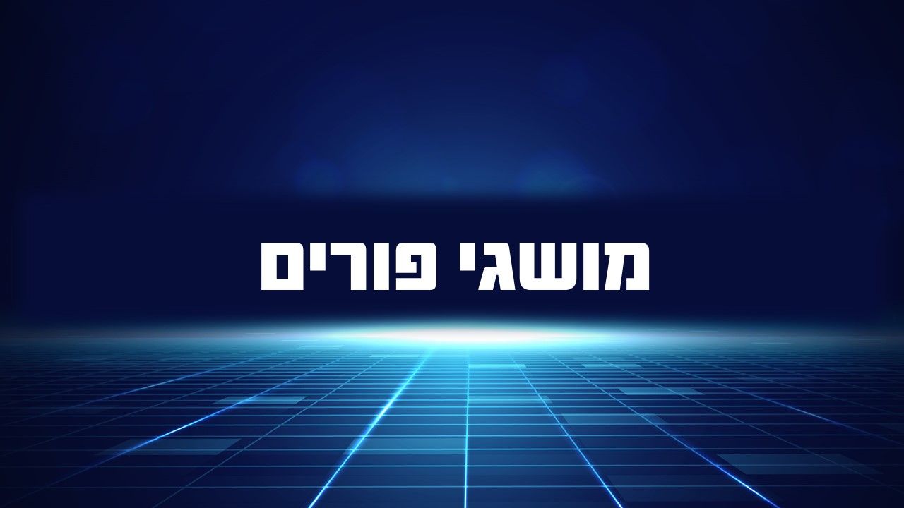 שקופית13.JPG