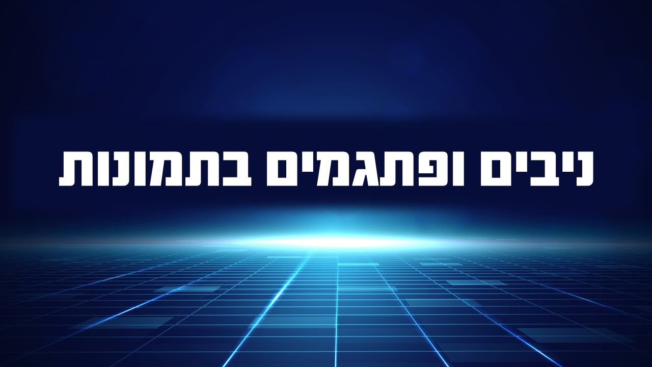 שקופית15.JPG