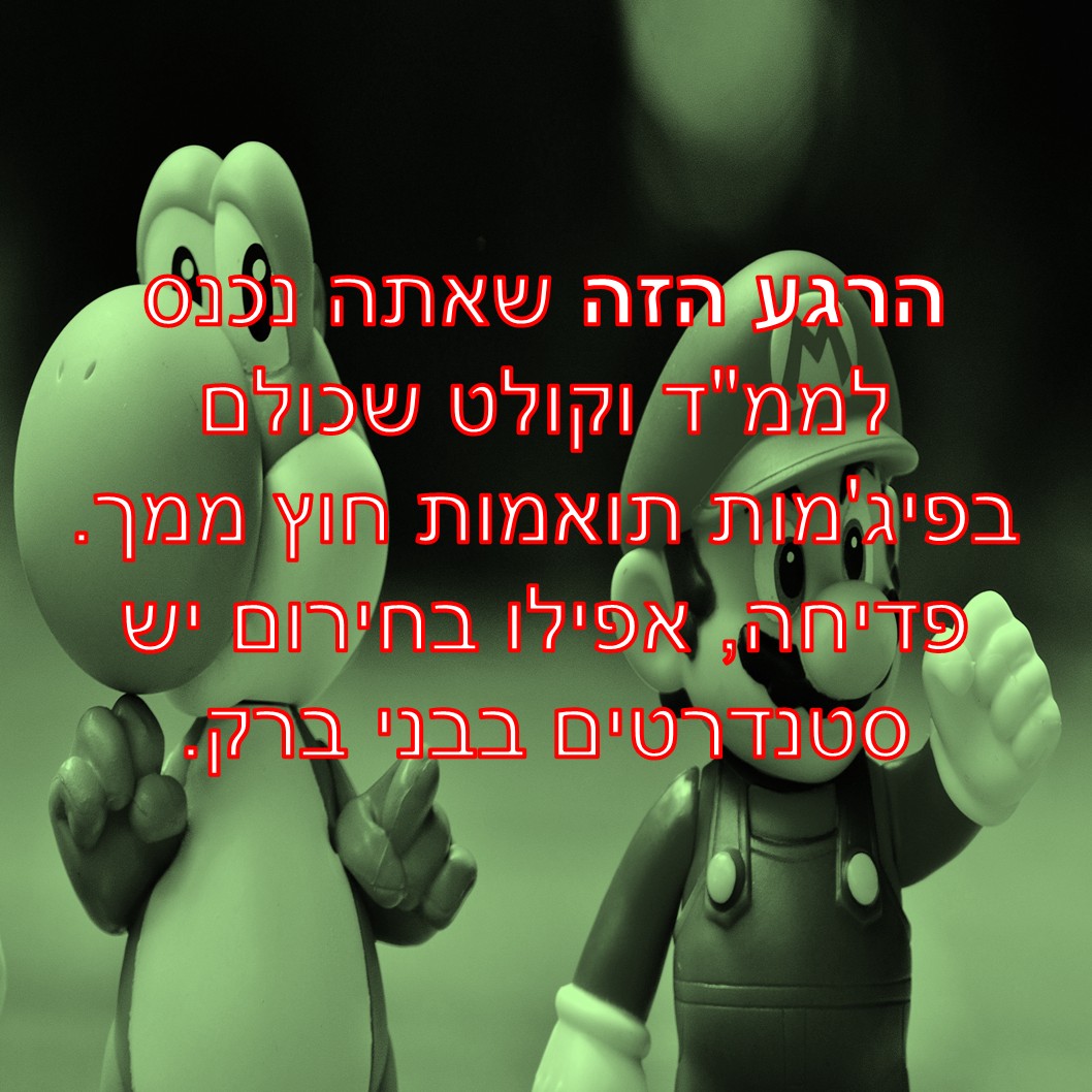 שקופית3.JPG