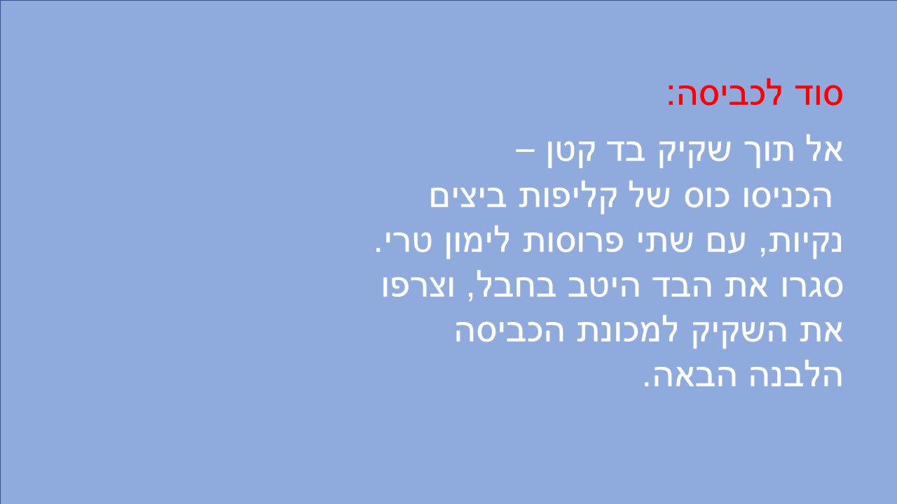שקופית4.JPG