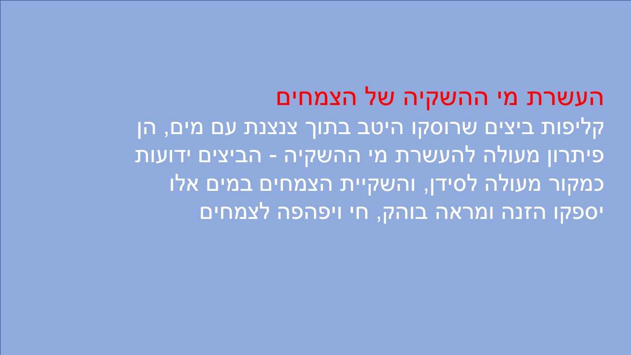 שקופית6.JPG