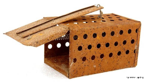 שקופית94_edited=מלכודת עכברים---(2).jpg