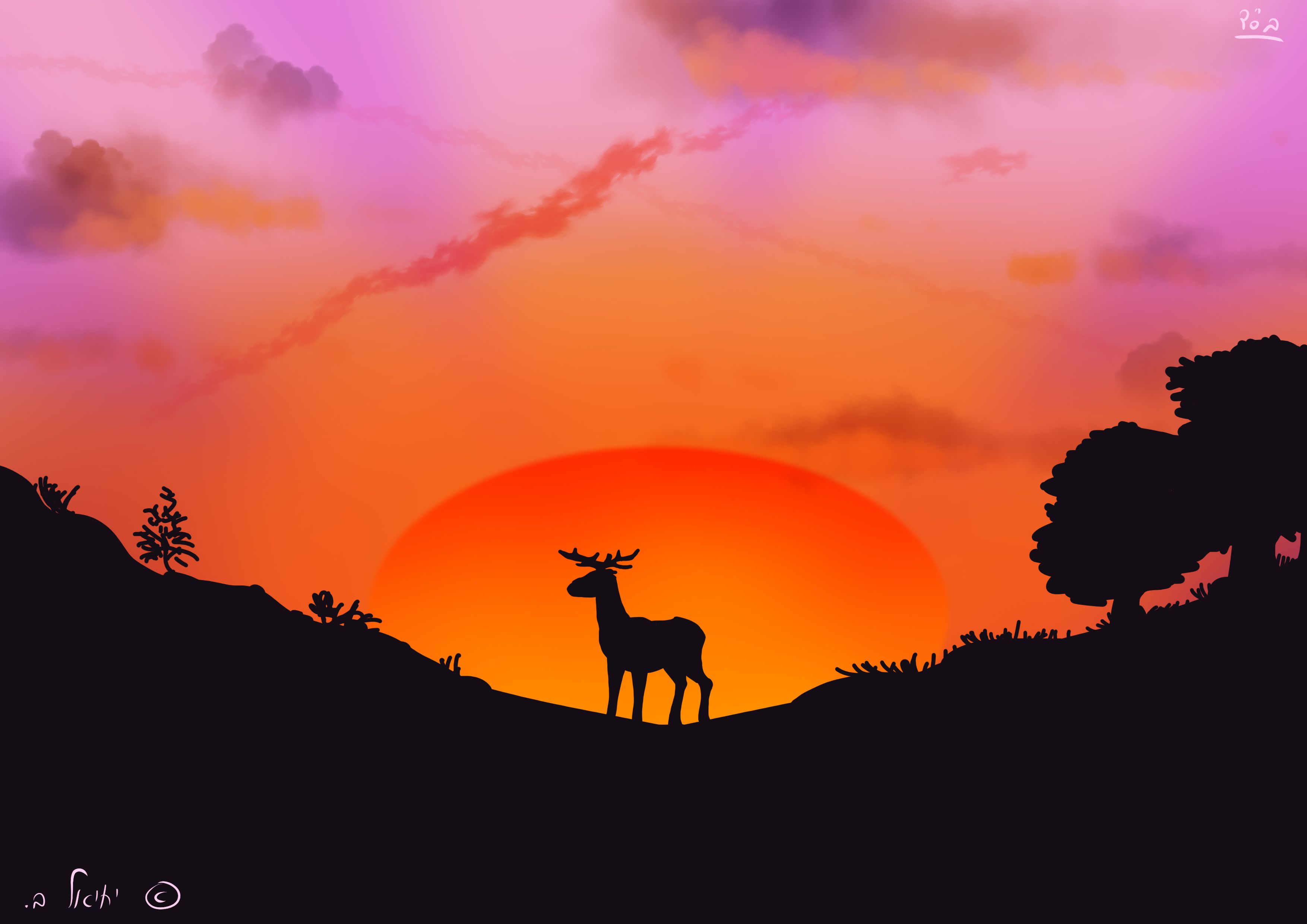 שקיעה אייל.jpg