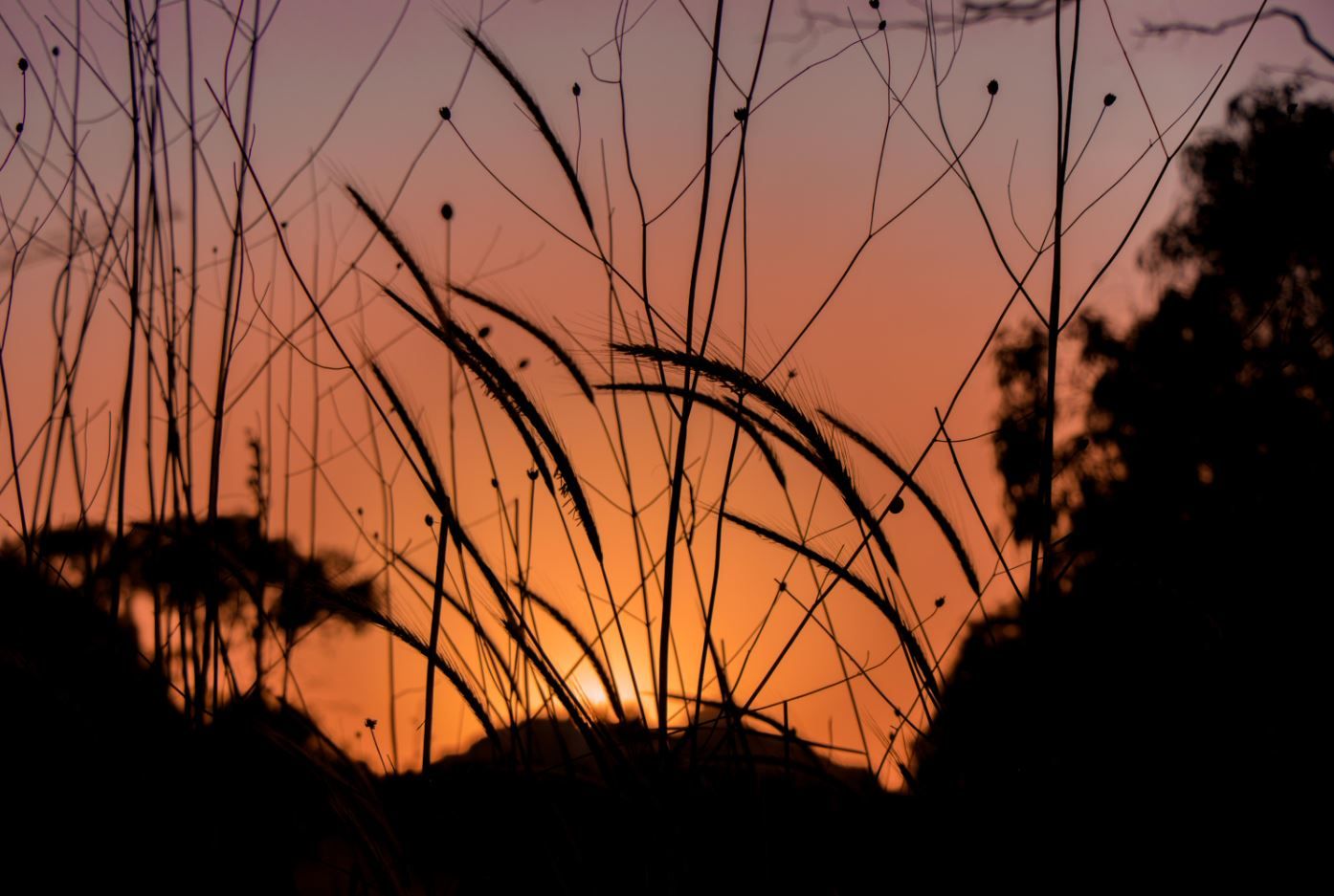 שקיעה מהפנטת.JPG