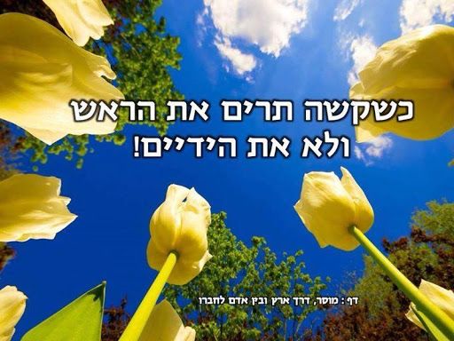שקשה.jpg