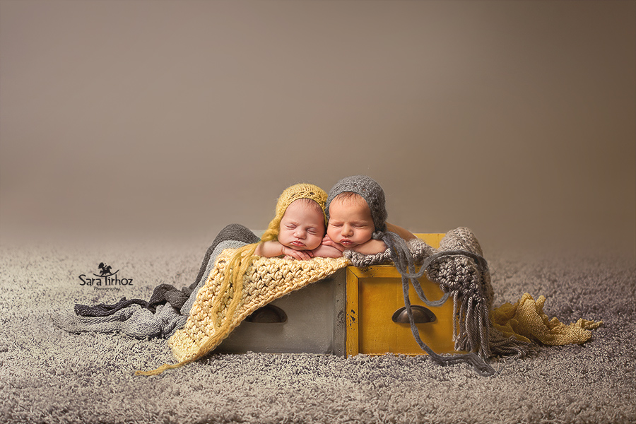 שרה טירהוז 76.jpg