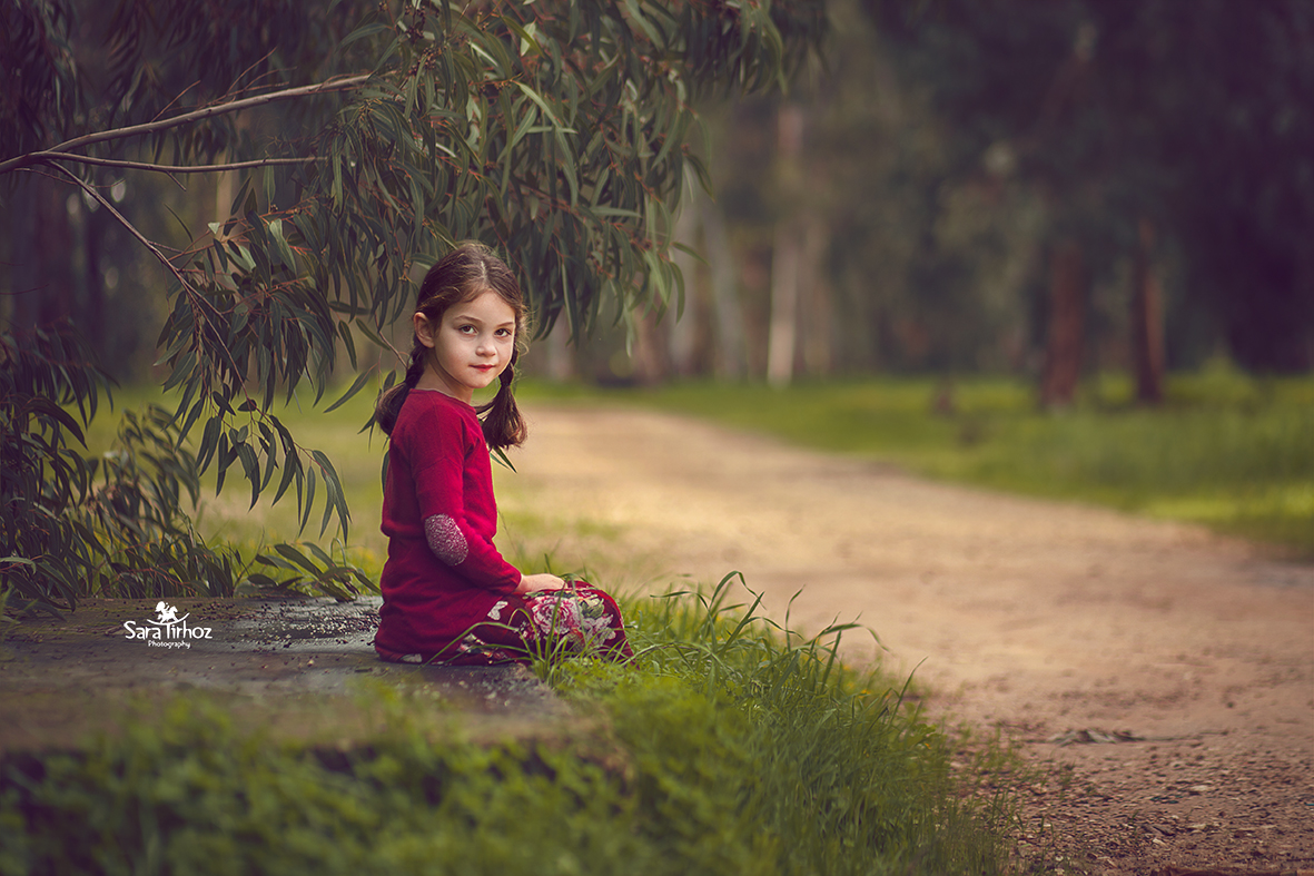 שרה טירהויז (1).jpg