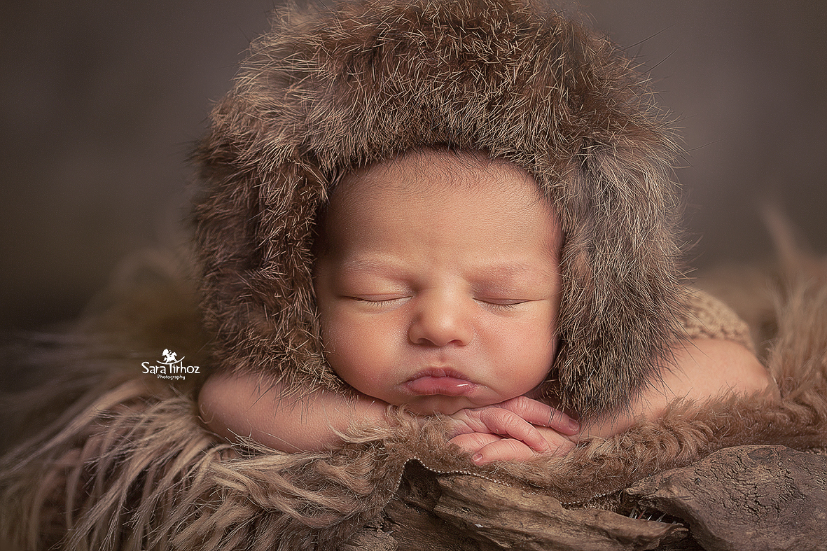 שרה טירהויז (1).jpg