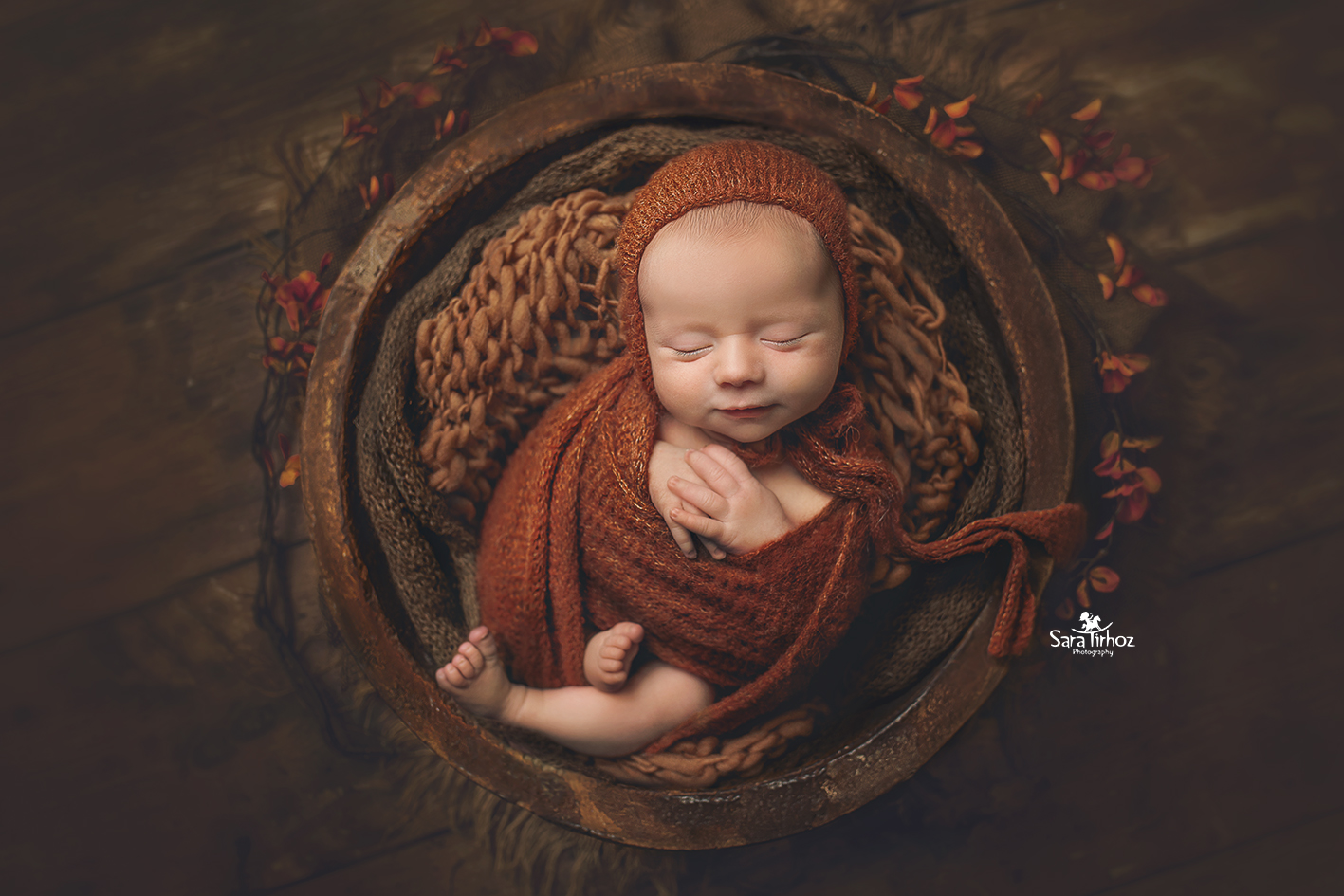 שרה טירהויז (10).jpg