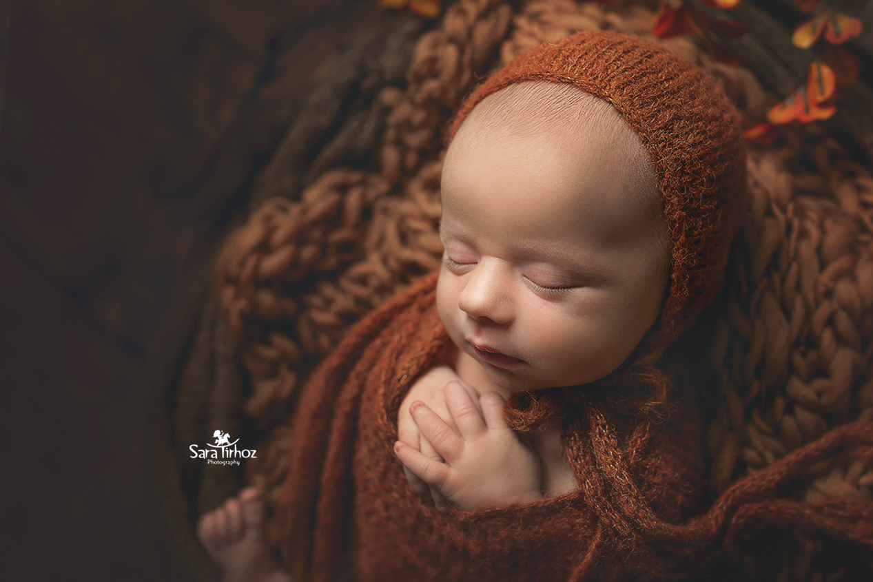 שרה טירהויז (11).jpg