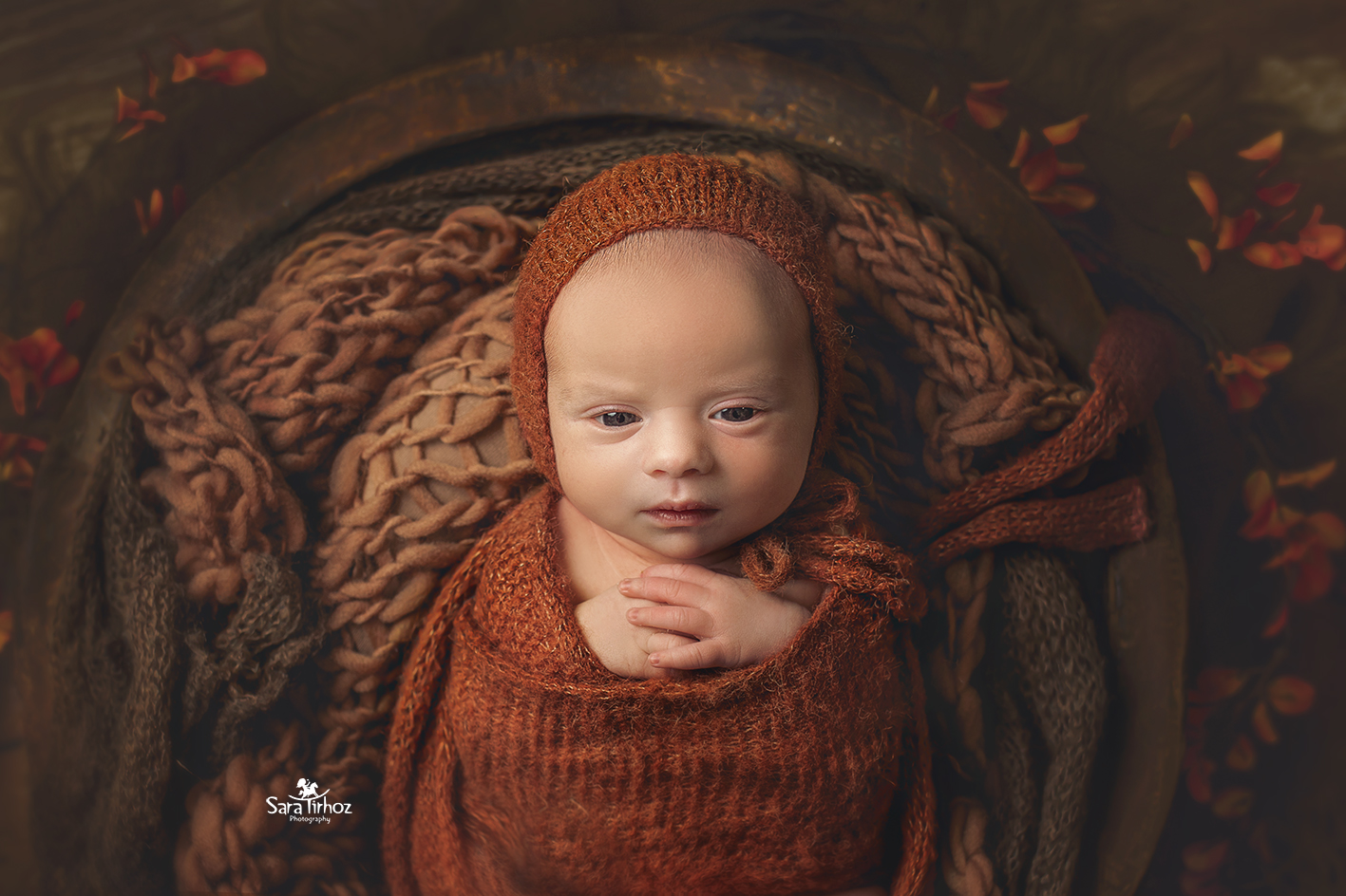 שרה טירהויז (12).jpg