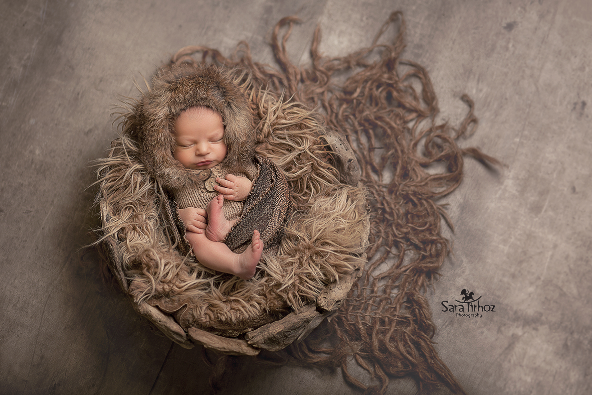 שרה טירהויז (2).jpg