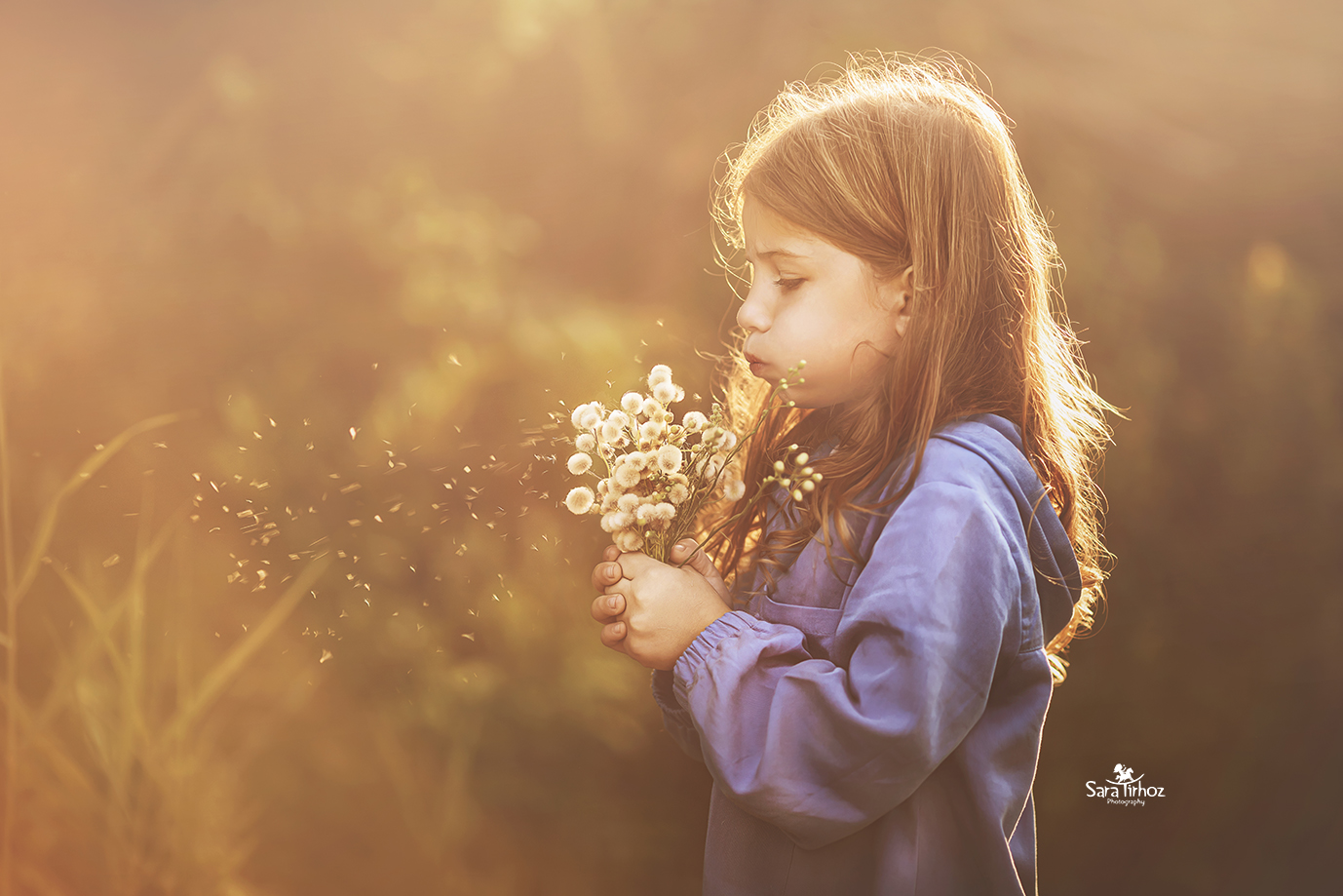 שרה טירהויז (29).jpg