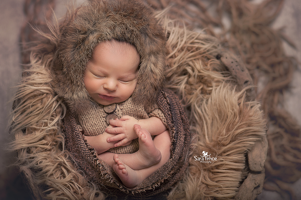 שרה טירהויז (3).jpg