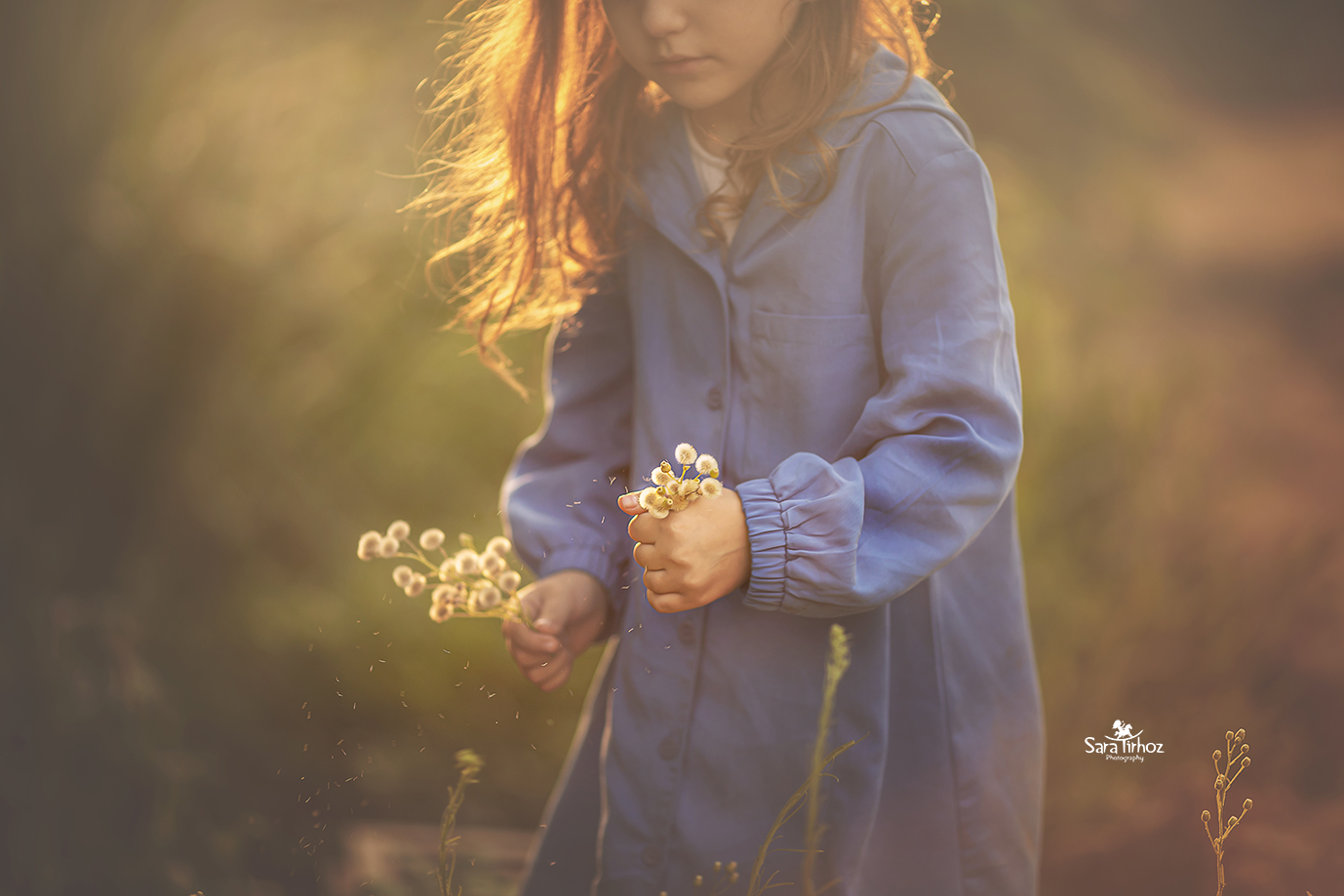 שרה טירהויז (31).jpg