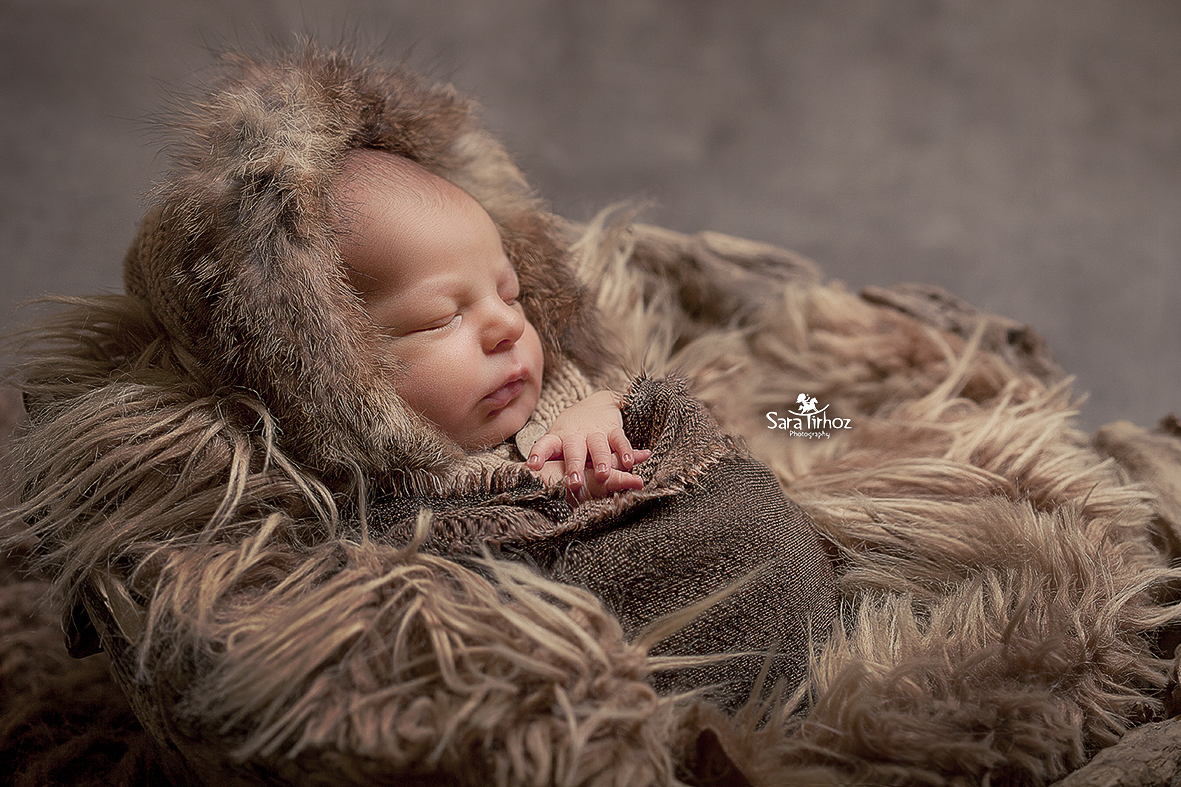 שרה טירהויז (4).jpg