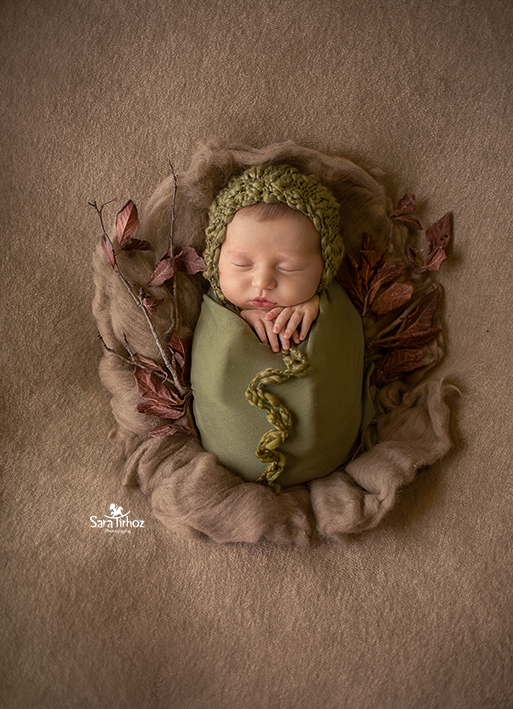 שרה טירהויז (4).jpg