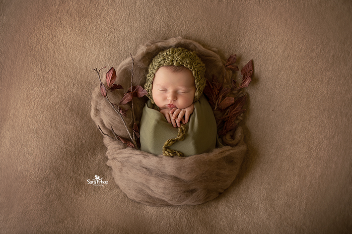 שרה טירהויז (5).jpg