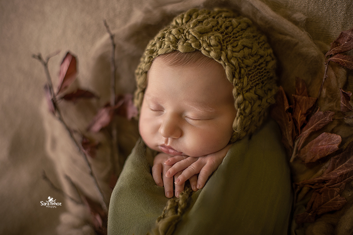 שרה טירהויז (6).jpg