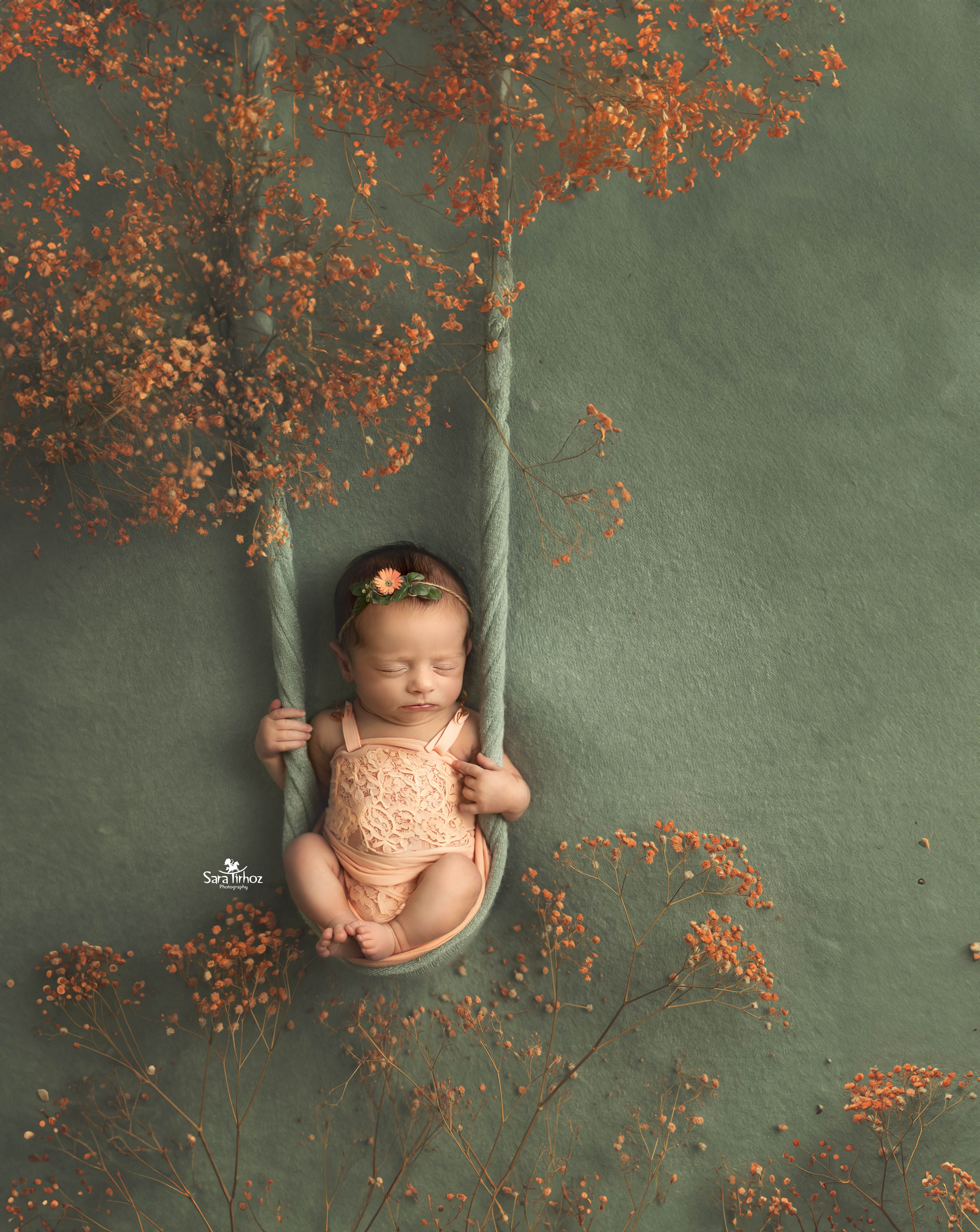 שרה טירהויז (7).jpg