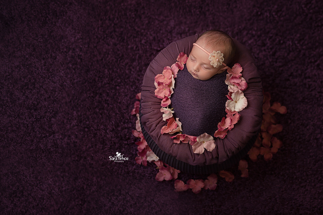 שרה טירהויז (7).jpg