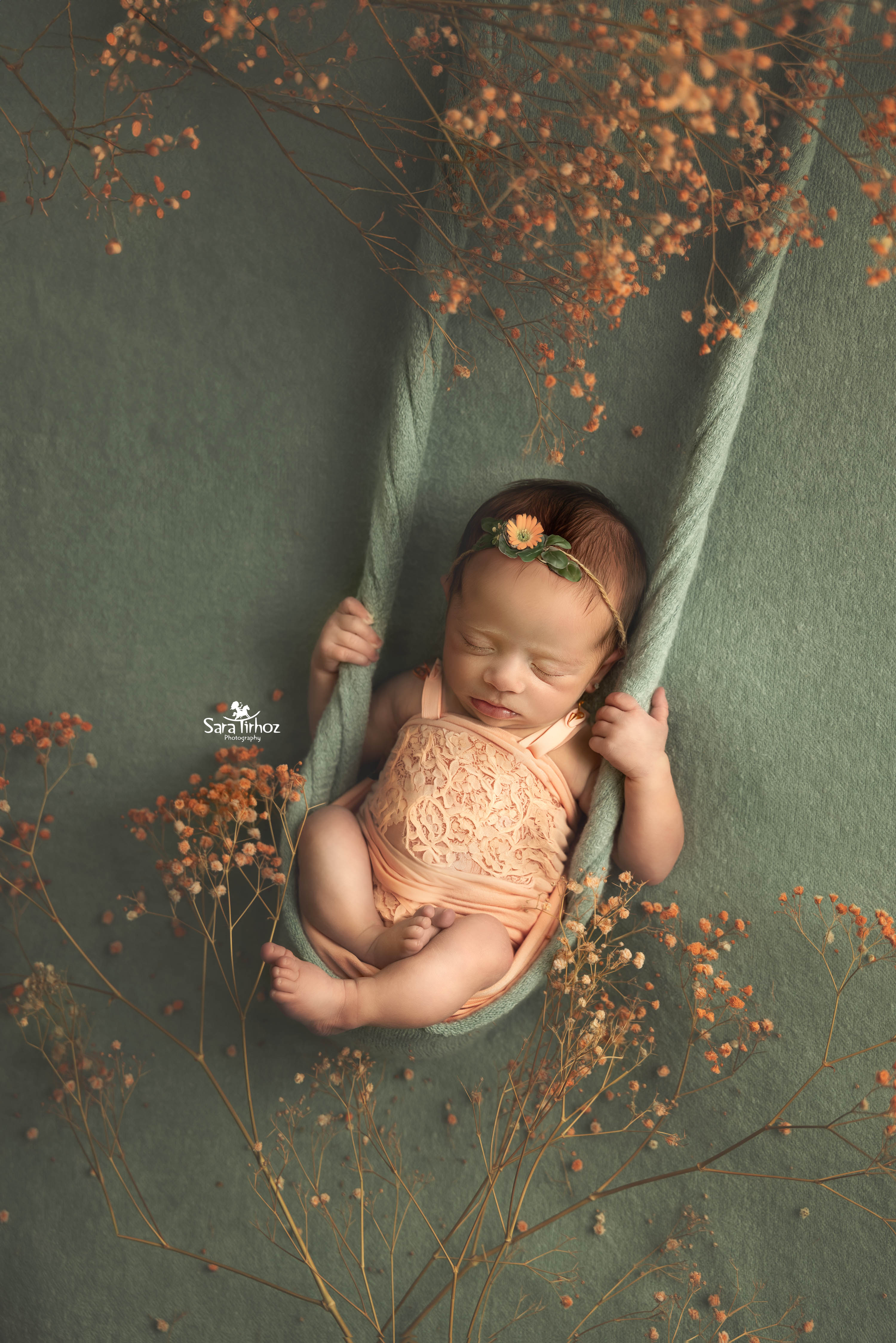 שרה טירהויז (8).jpg