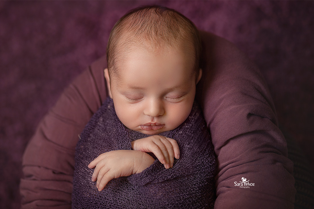 שרה טירהויז (9).jpg